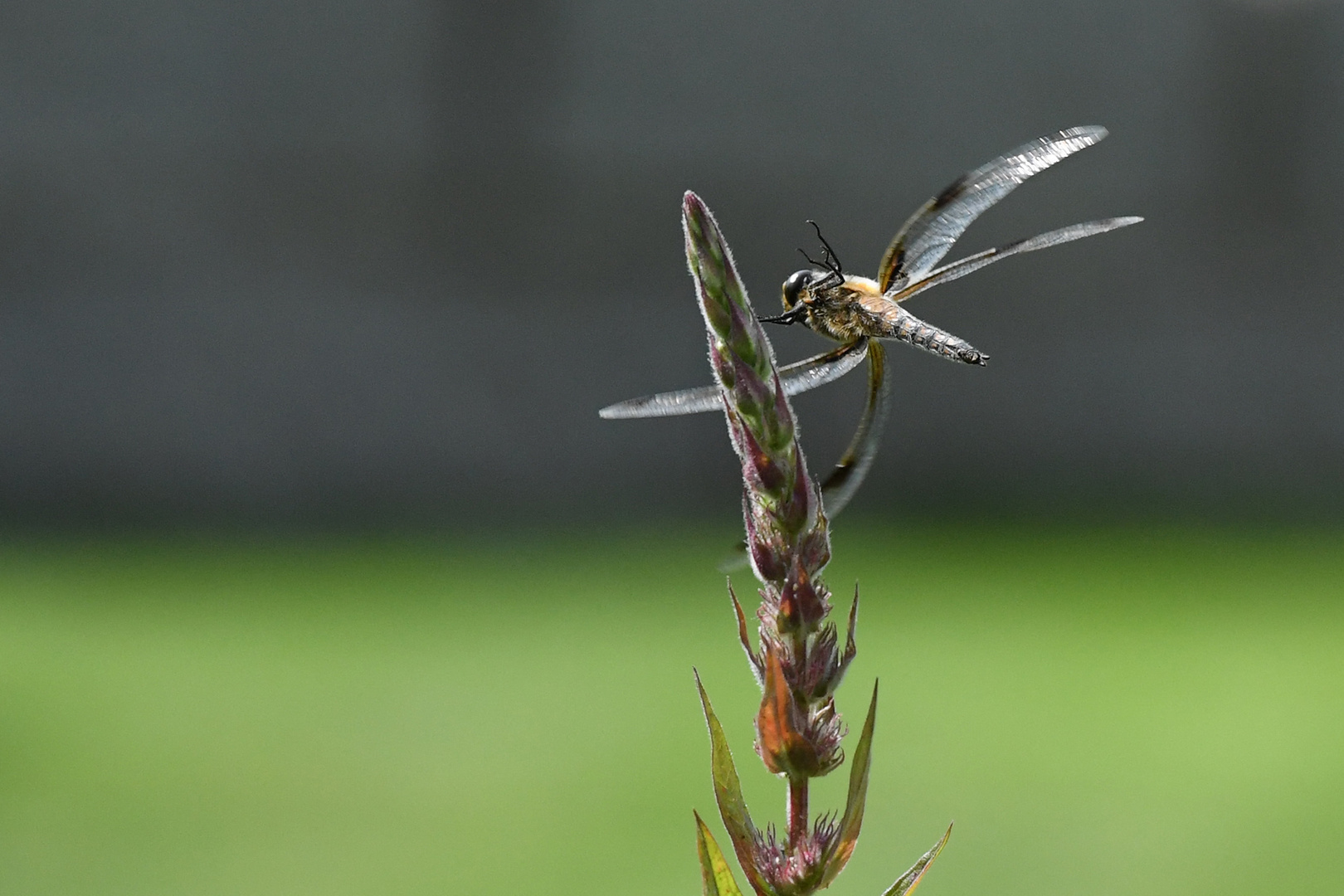 Und Abflug