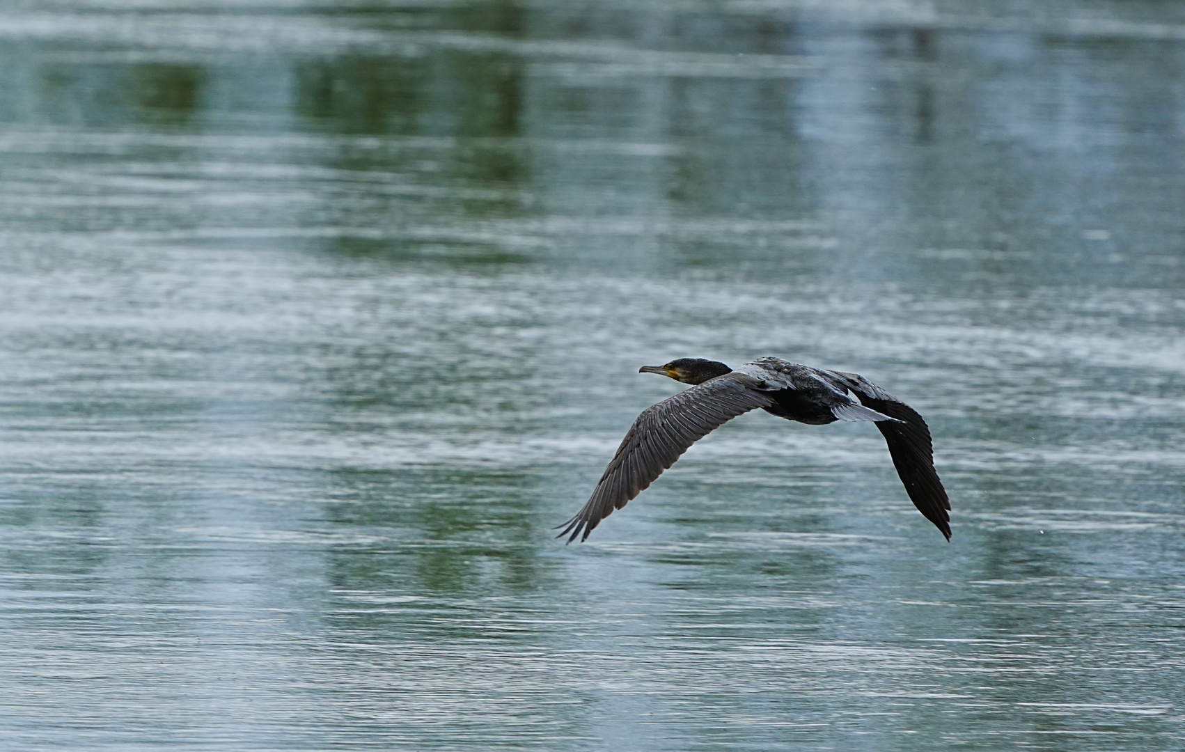 Und Abflug!