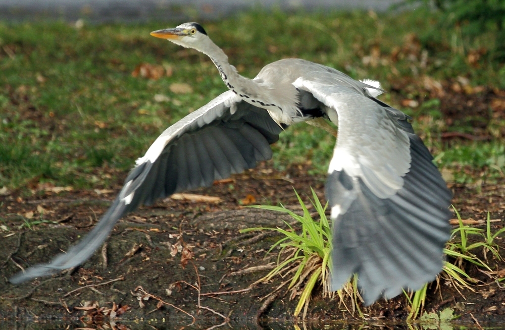 ..und Abflug