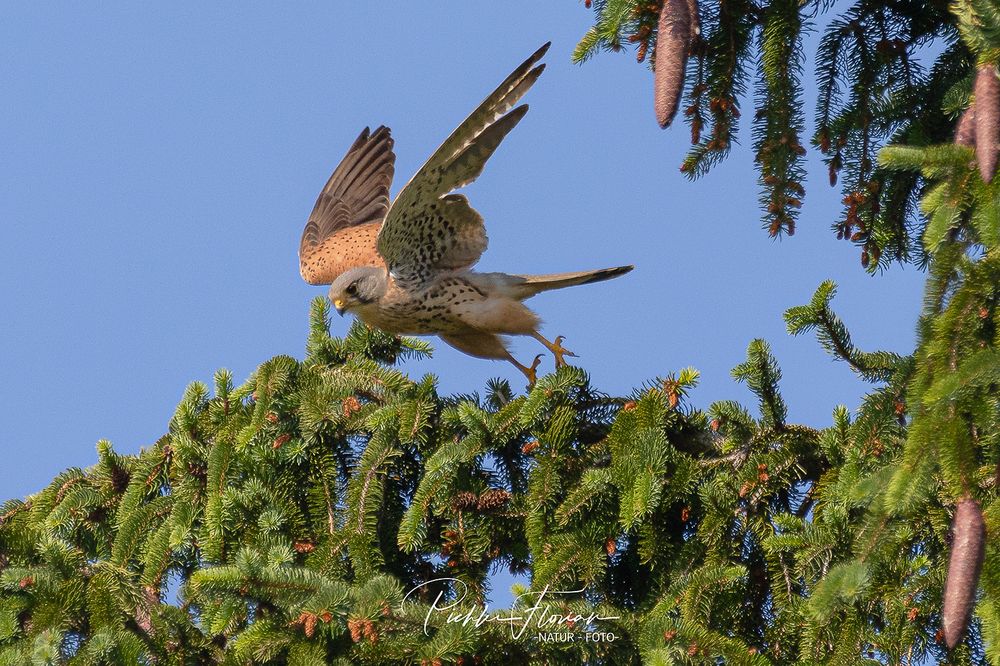 und Abflug