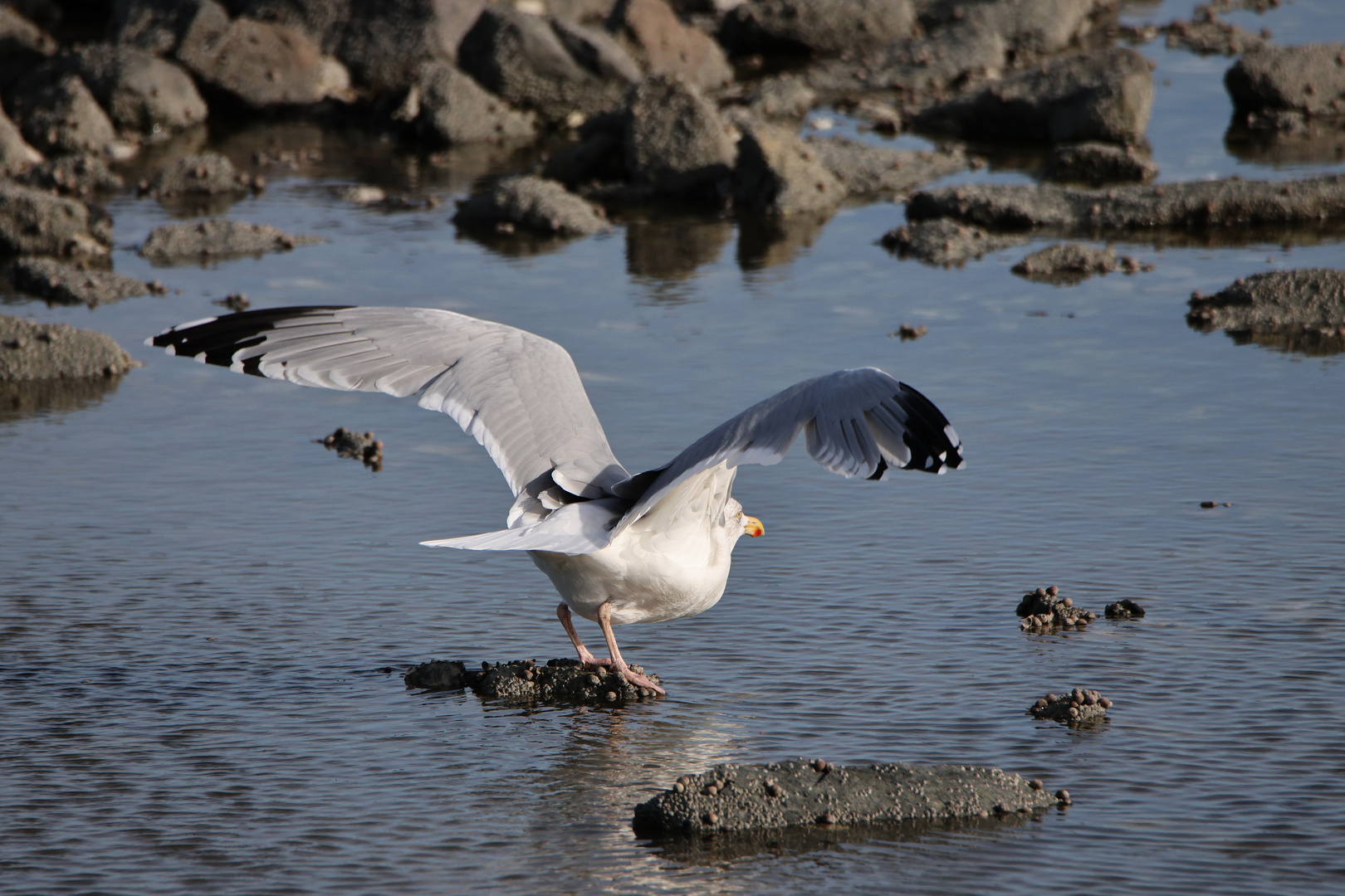 . . . .  und Abflug