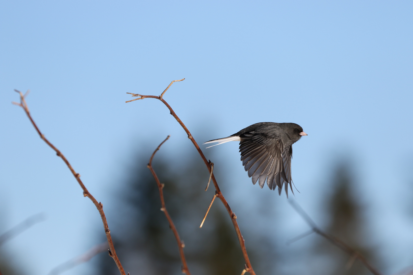 Und Abflug