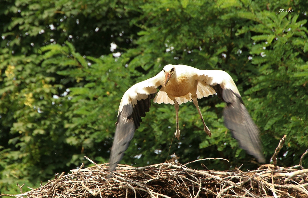 Und - Abflug