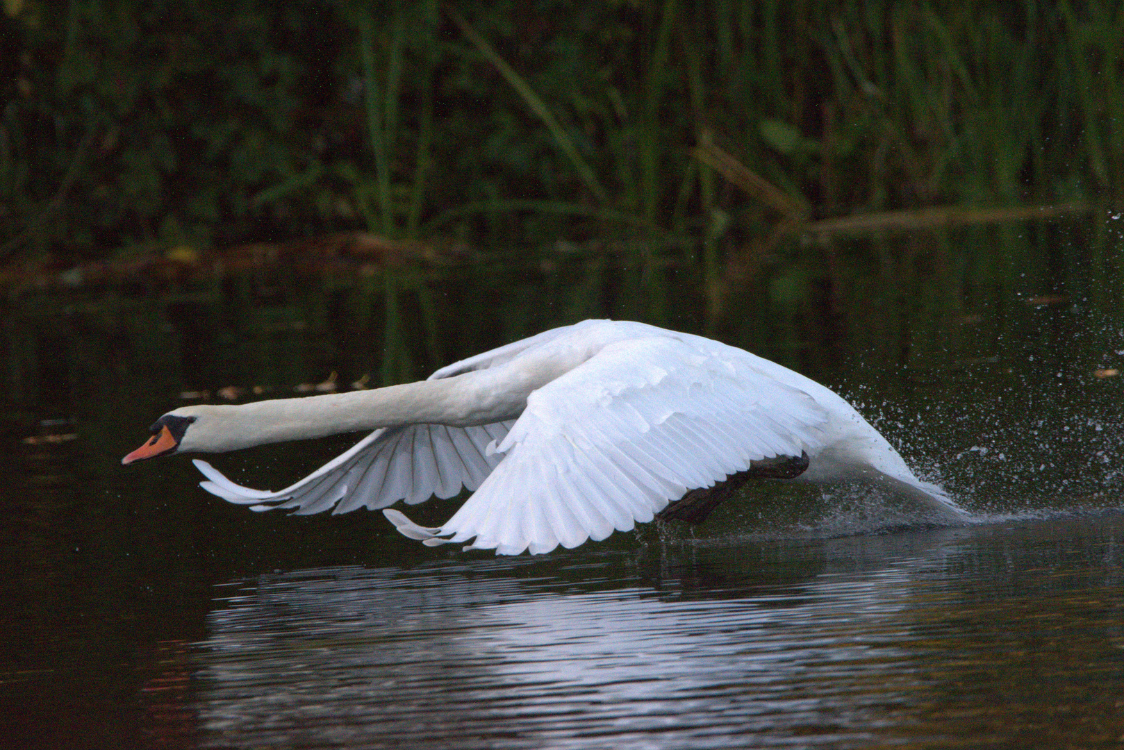 .....und Abflug