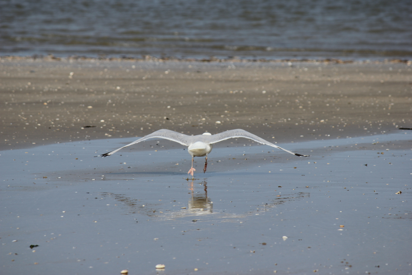 Und Abflug!