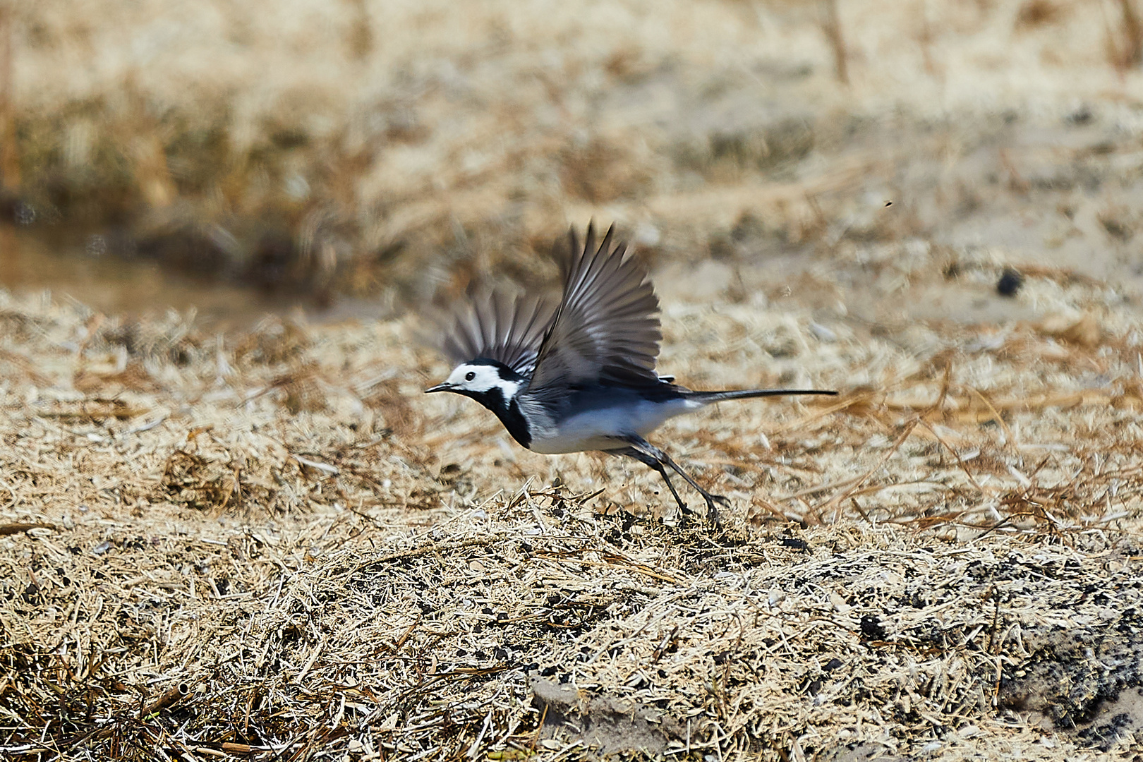 ...und Abflug