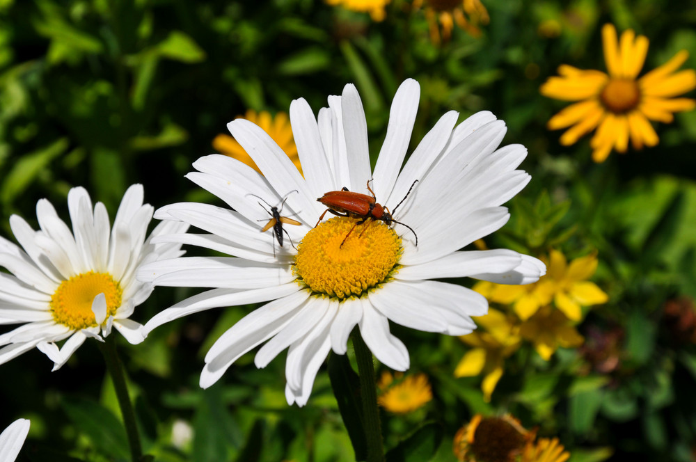 Und Abflug!