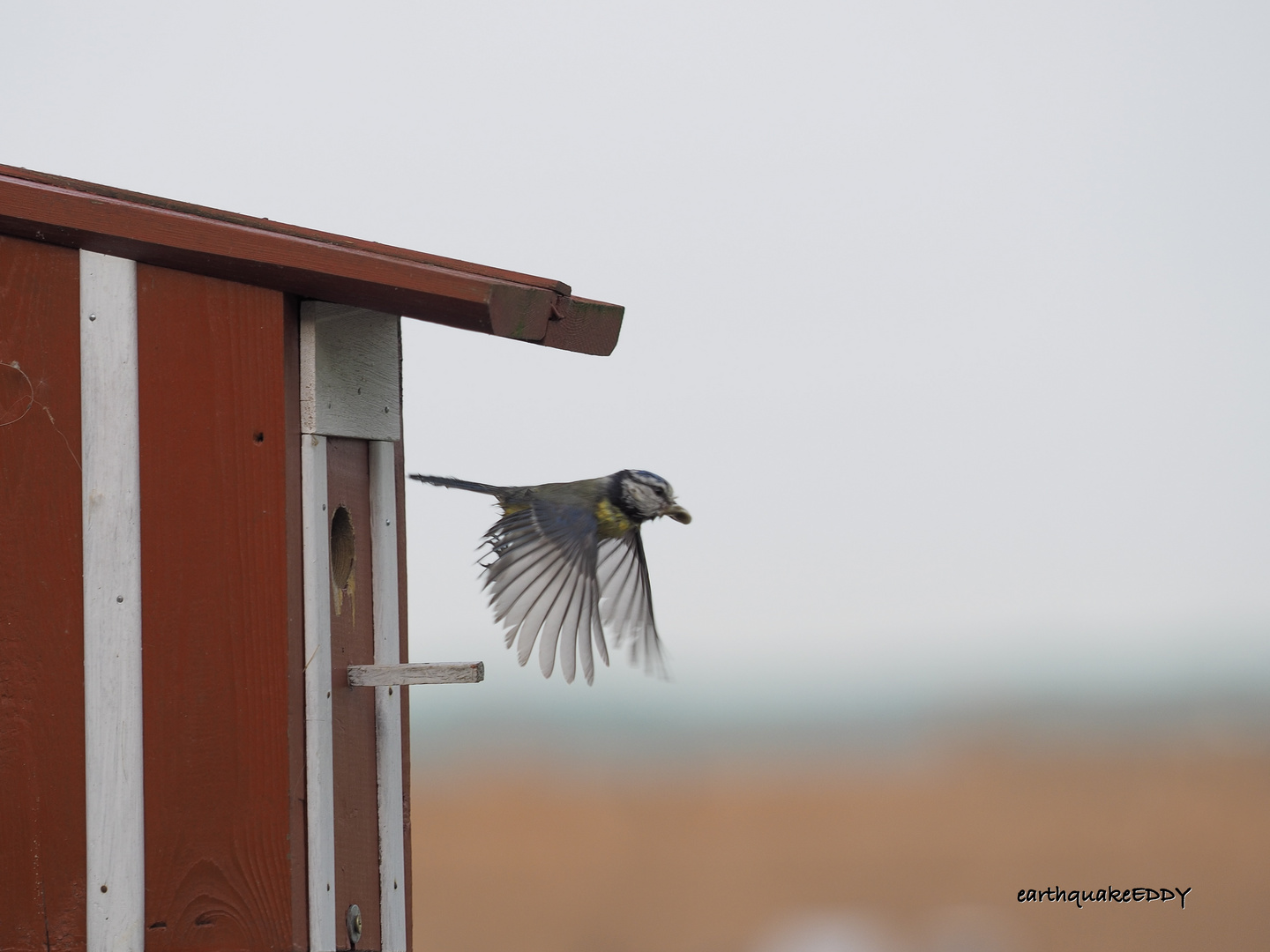 und Abflug !