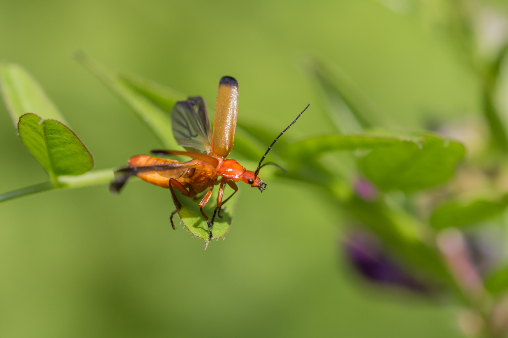 Und Abflug