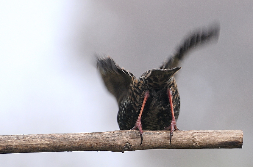 ... und Abflug