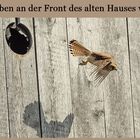 Und Abflug...