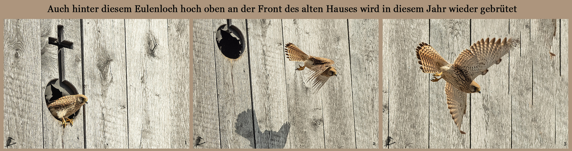 Und Abflug...