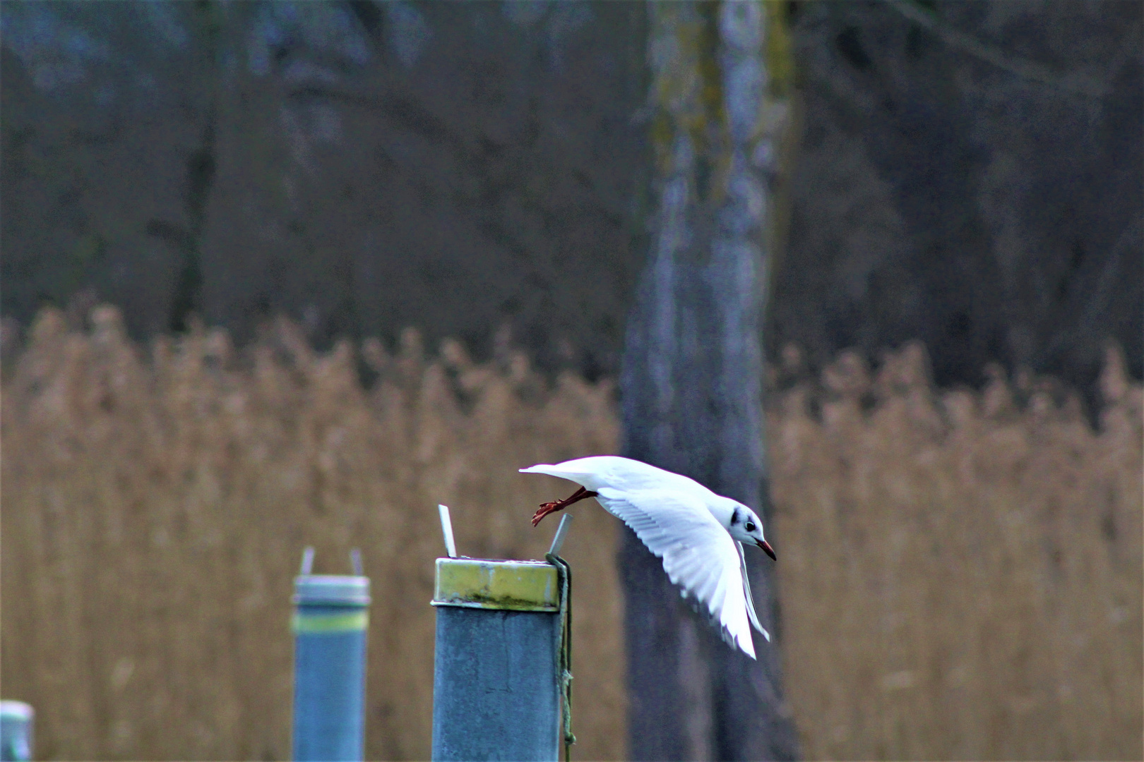 und Abflug.....