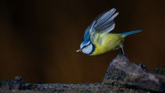... und Abflug...