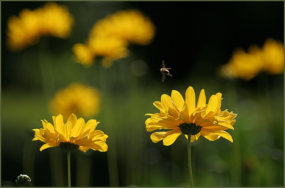 ...und Abflug