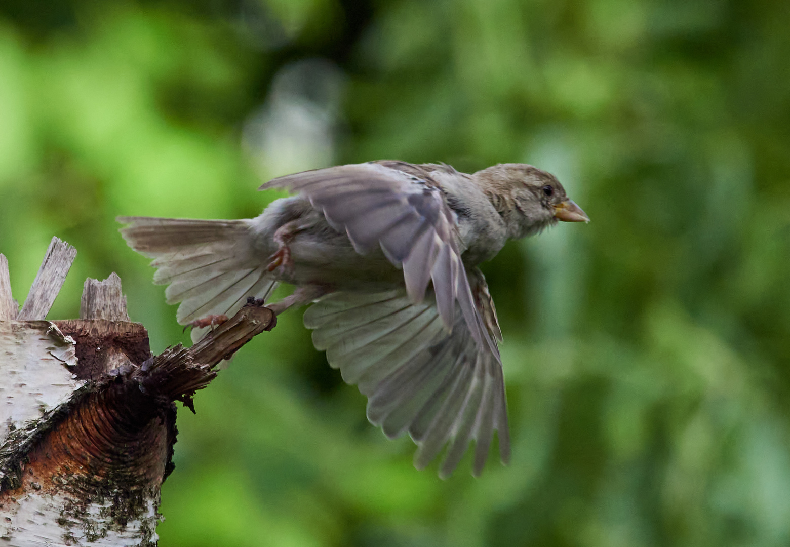 Und Abflug 