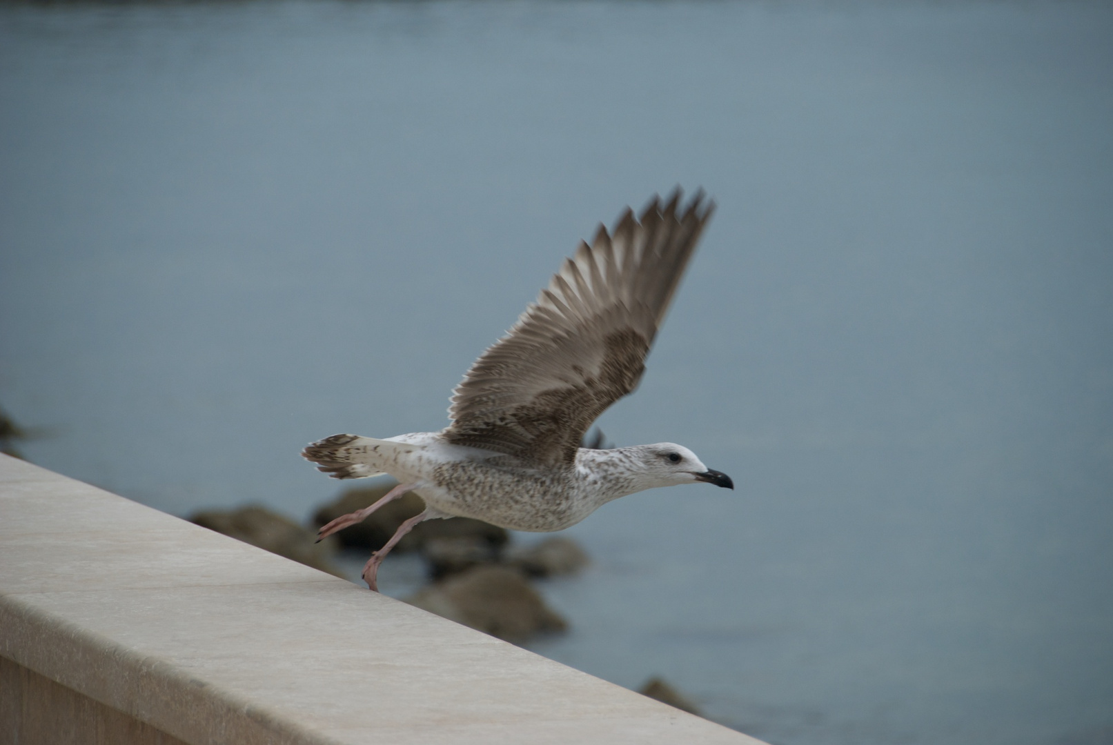 .. und Abflug ...