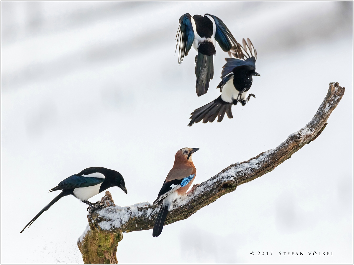 Und Action Und Action