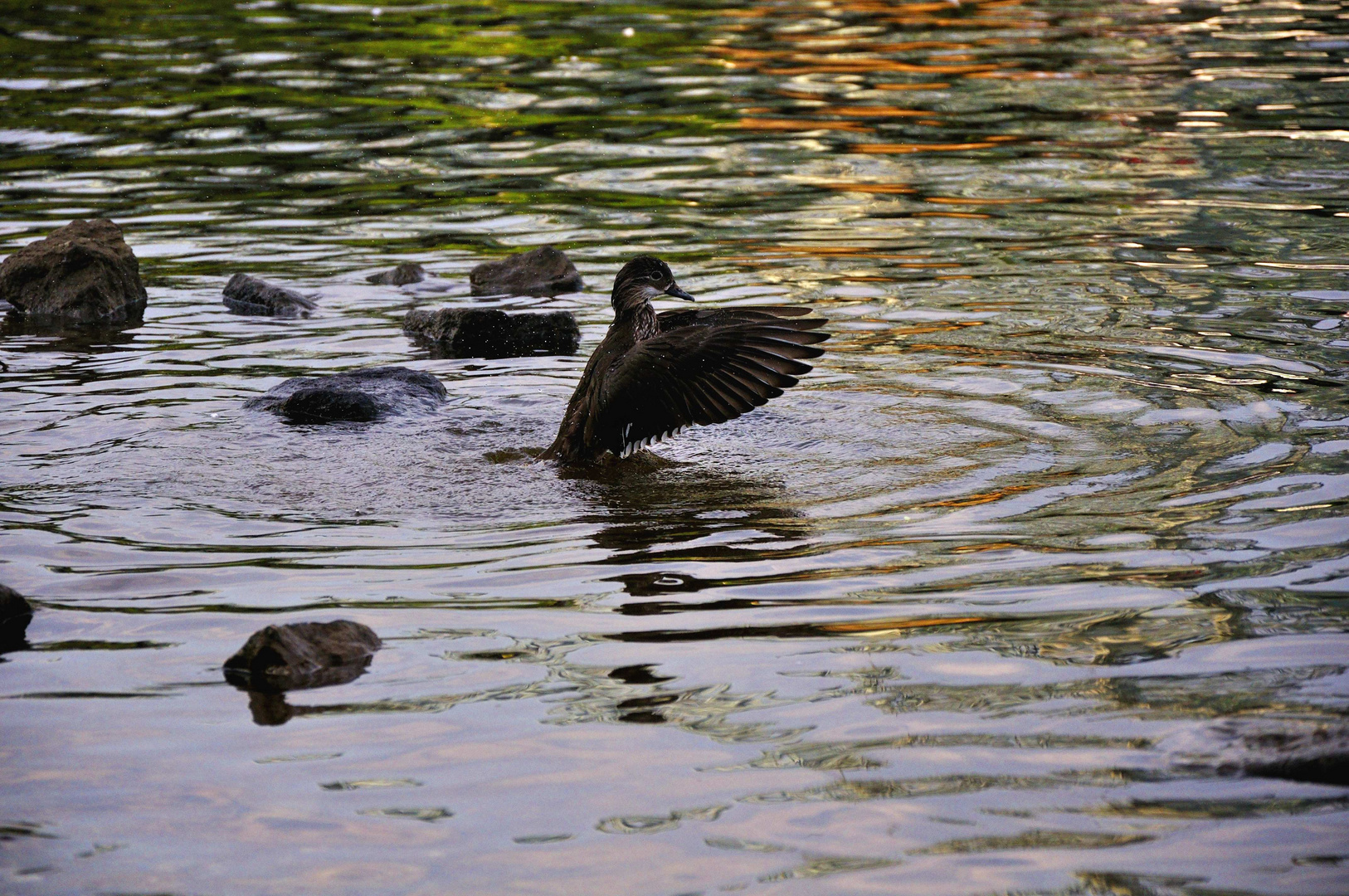 "Und alle!"