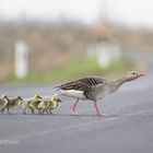 ... und alle schön zusammen bleiben ... 