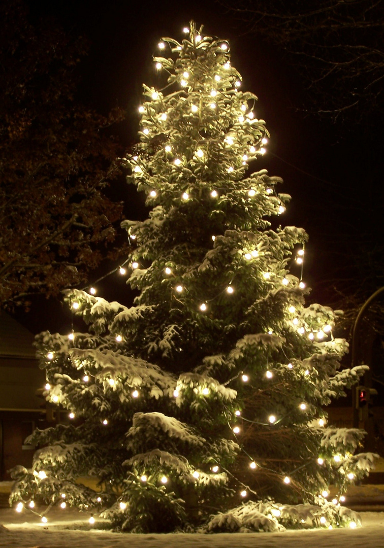 ...und allen ein geruhsames Weihnachtsfest !