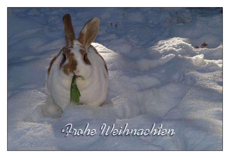 und alles Gute zum Geburtstag wünsche ich meiner Schwester Miriam