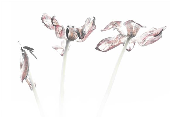 ... und alles hat seine Zeit  ...