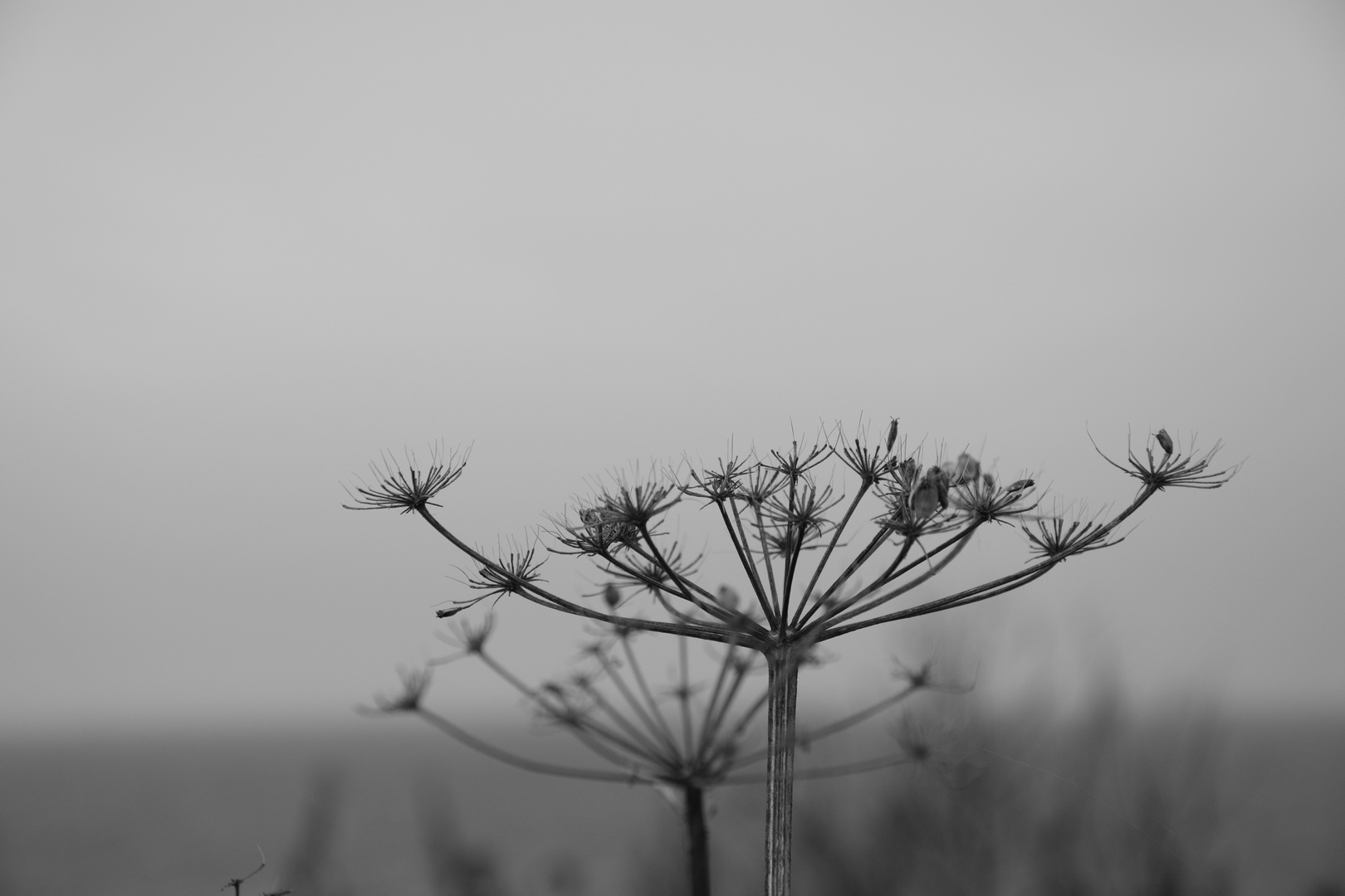 "... und als der sturm vorbei war, hab' ich die sonne wieder gesehn'.