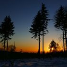 Und als die Sonne über dem gerodeten Wald unterging ....