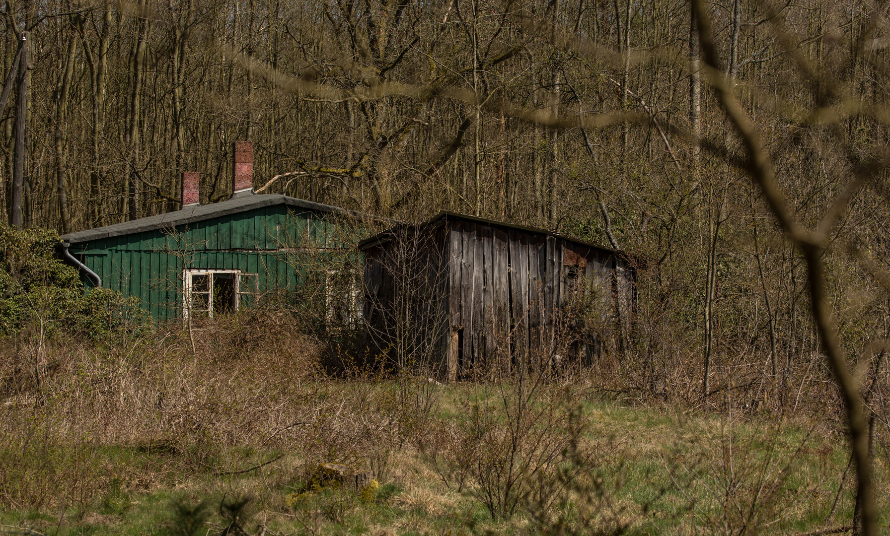 Und Am Ende Der Strasse Steht Ein Haus Im Wald Foto Bild