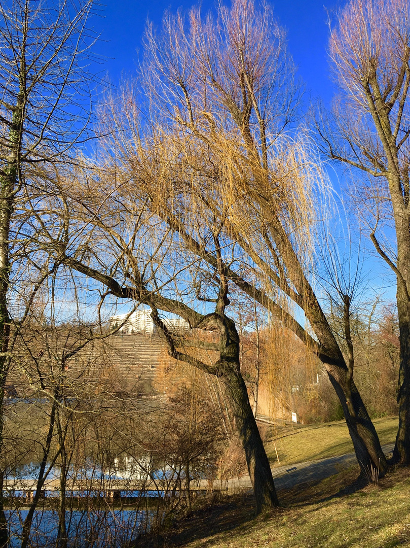 und am Ufer die Bäume 