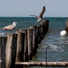 ... und an der Ostsee waren wir, bei schönstem Wetter!