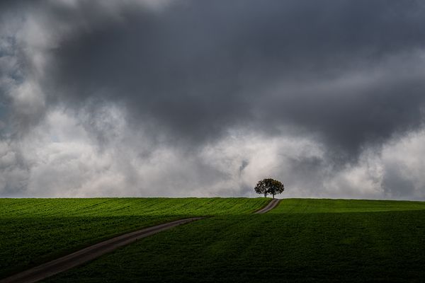 ... und auf den Fluren laß die Winde los