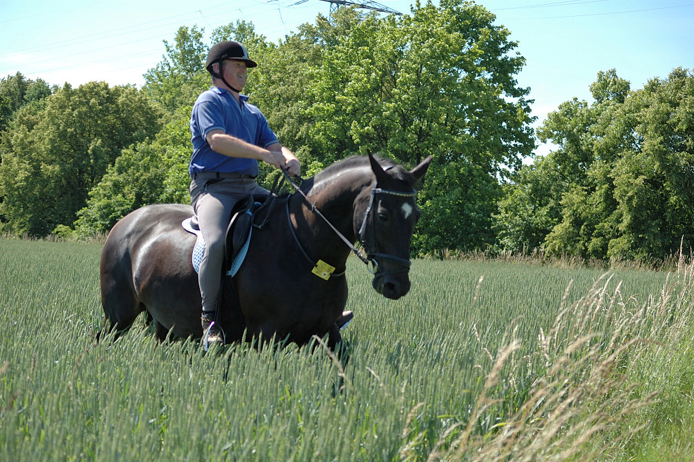 und auf einmal steht man im Feld