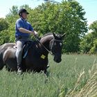 und auf einmal steht man im Feld