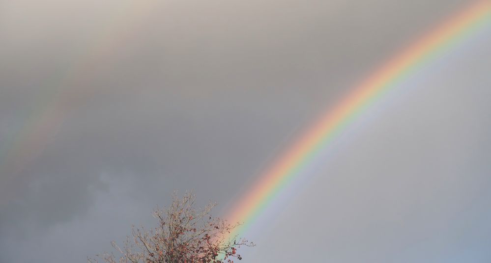 ...und auf Regen folgt doch wieder Sonnenschein