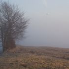 Und aus dem Nebel steiget