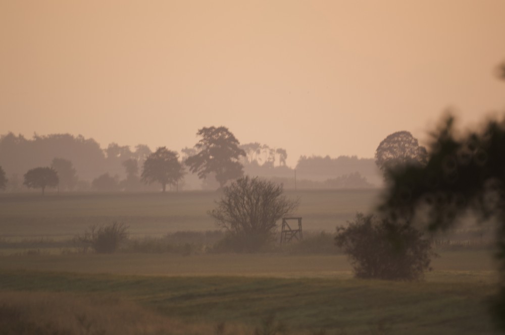 ..... und aus den Wiesen steiget der weisse Nebel wunderbar