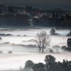 ..... und aus den Wiesen steiget der weiße Nebel wunderbar