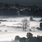 ..... und aus den Wiesen steiget der weiße Nebel wunderbar