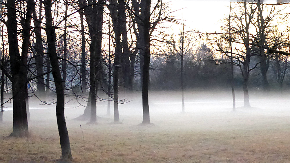 Und aus den Wiesen steiget, der weiße Nebel wunderbar....