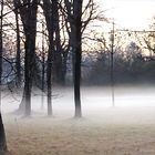 Und aus den Wiesen steiget, der weiße Nebel wunderbar....