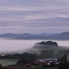 ...und aus den Wiesen steiget der weiße Nebel wunderbar..(Matthias Claudius)