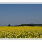 Und aus der Lüneburger Heide...