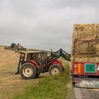 und beladen fuer den Abtransport