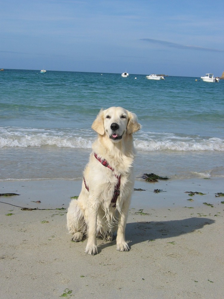 Und Blanca liebt das Meer