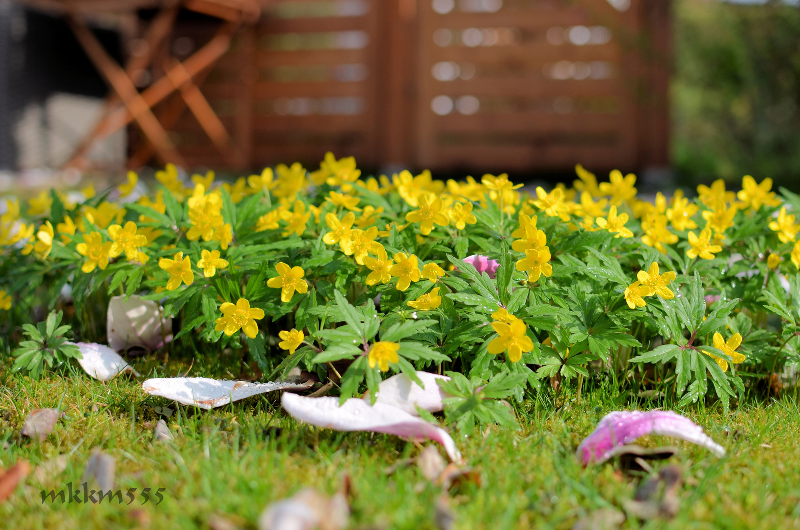 ...und da ist der Frühling!