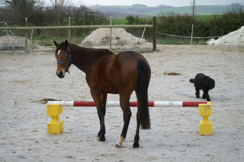 Und da soll ich drüber springen???