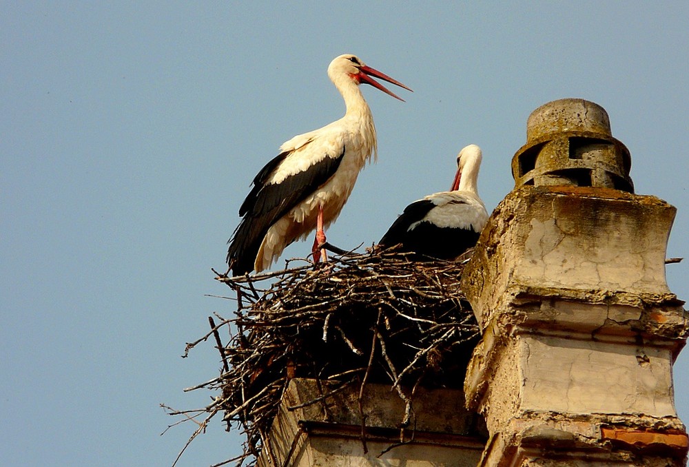 . . "und da sollen alle Platz haben?". .