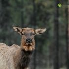 .und da stand sie plötzlich....